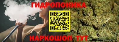 спиды Будённовск